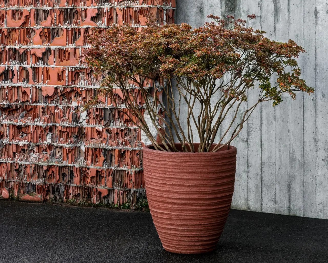 Domani Dala Gefäß mit Pflanze